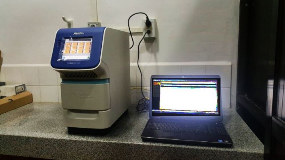 Las pruebas de coronavirus se analizan en el laboratorio PCR del hospital San Pedro Claver.