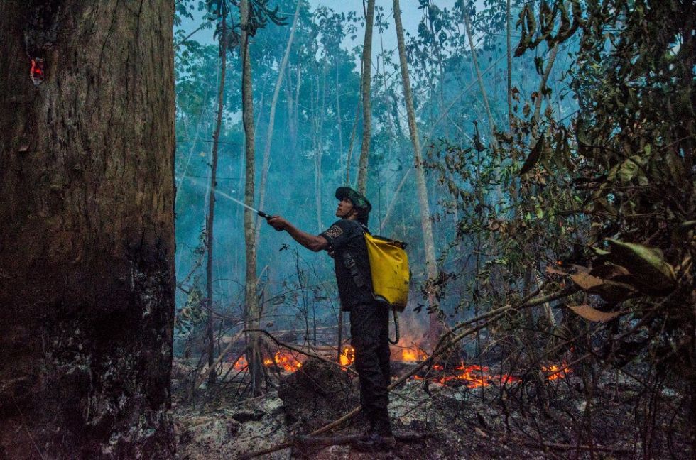 Un guardia forestal combate los incendios en un área en llamas del bosque de Alto Río Guama.