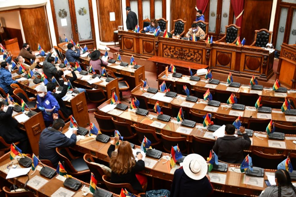La Asamblea Legislativa Plurinacional se encargará de elegir al nuevo titular de la Defensoría del Pueblo.
