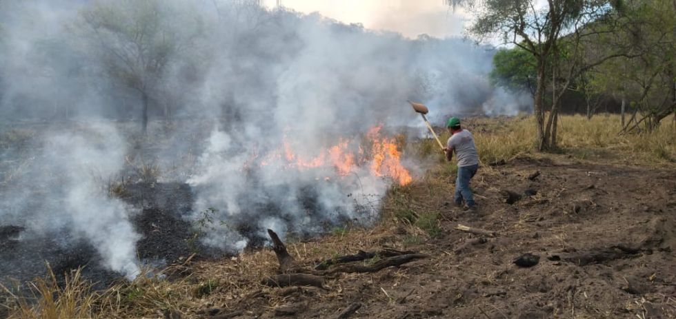 La zona del Chaco chuquisaqueño combate contra los incendios. 