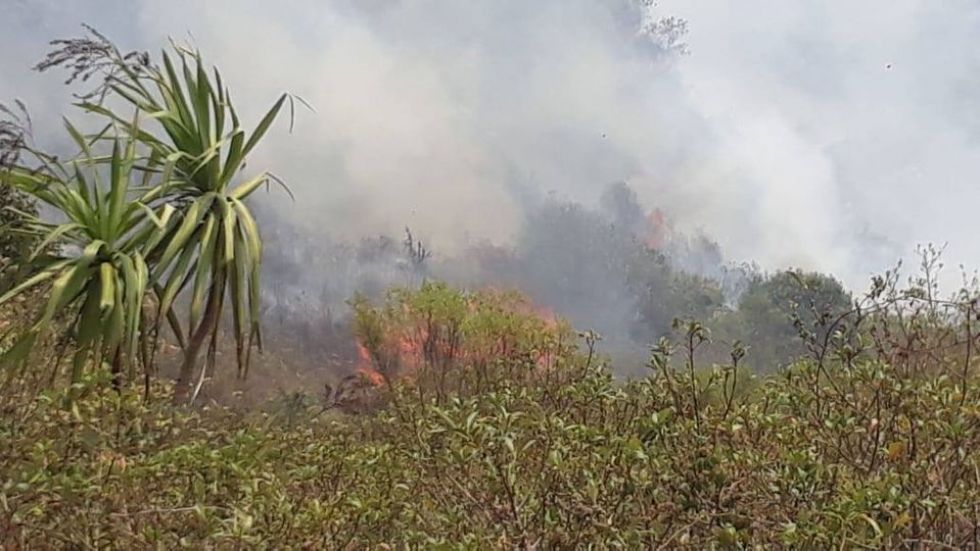 Los incendios asolan el Chaco chuquisaqueño. 