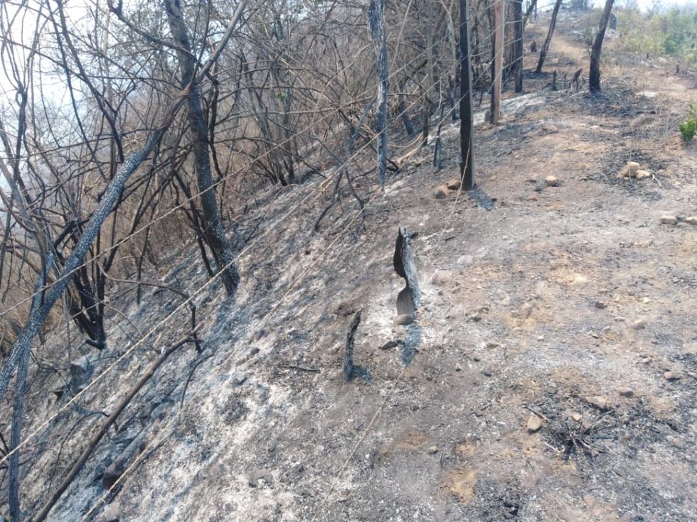 El fuego golpea a la comunidad Totoral. 