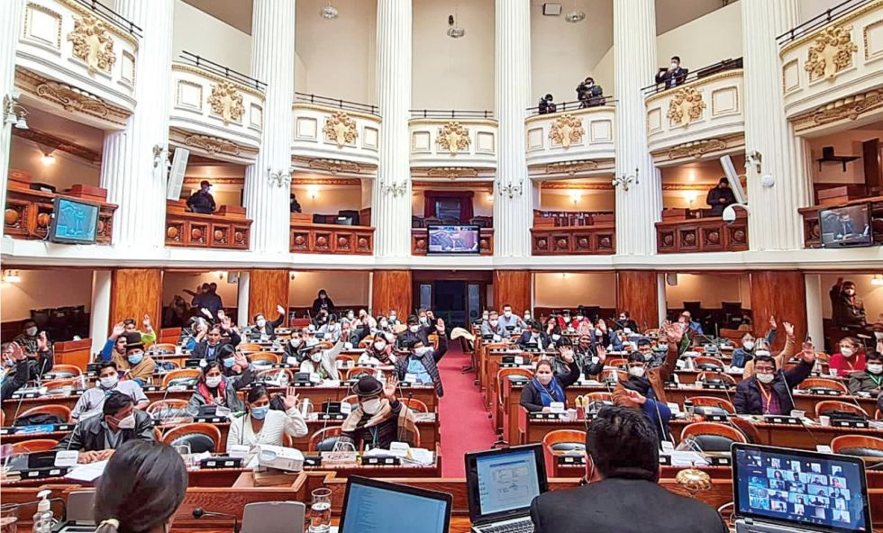 La Cámara de Diputados celebró una sesión virtual y presencial para tratar varios temas, entre ellos el crédito CAF.