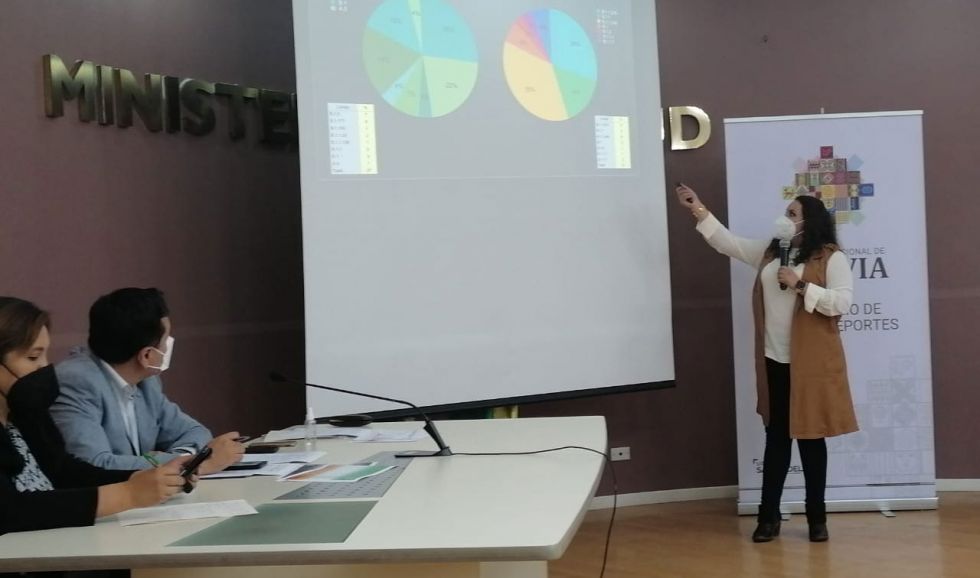 La viceministra de Vigilancia Epidemiológica, María Renee Castro, explica los resultados de los informes sobre la variante británica.