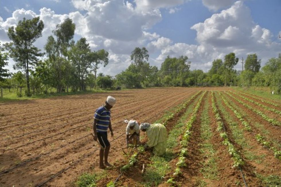 La situación de los países pobres se hace cada vez más vulnerable, al contrario del crecimiento que muestra el mundo desarrollado.
