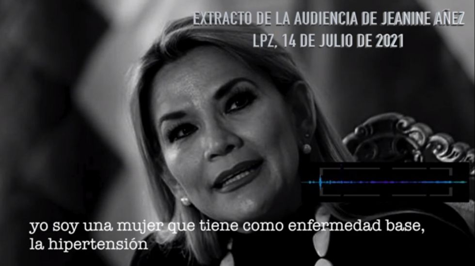 Una imagen de la transcripción de la solicitud de la expresidenta Jeanine Áñez, durante su audiencia.