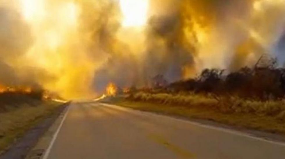 Incendio en Roboré, Santa Cruz.
