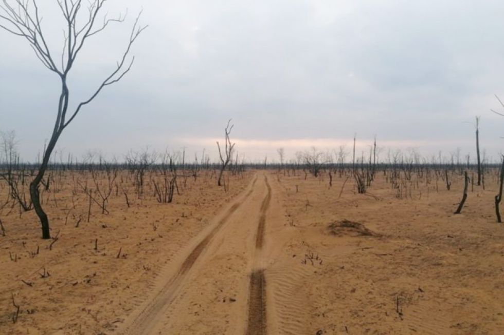 CATÁSTROFE. Así quedó parte del área natural protegida Ñembi Guasu tras los incendios forestales.