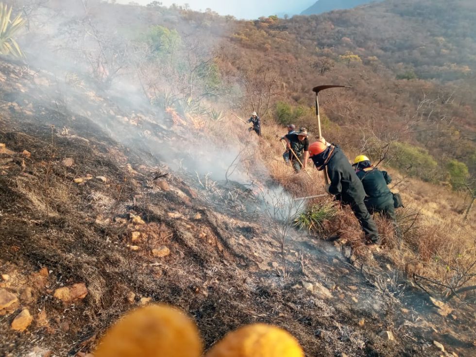 Las labores de sofocación del fuego en El Palmar. 