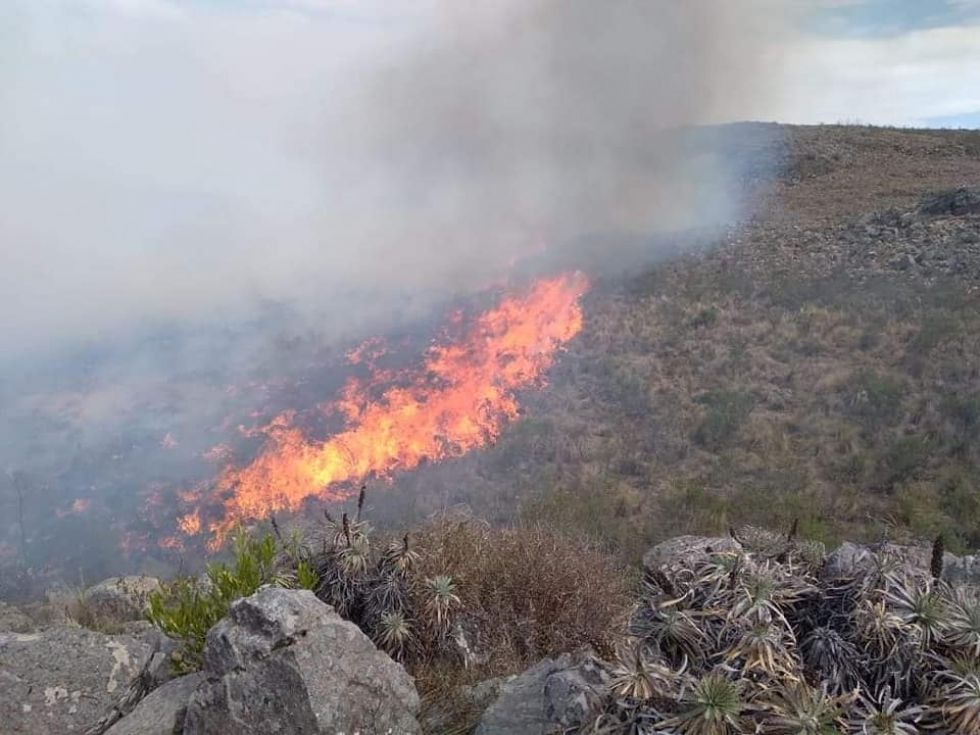 El fuego no da tregua en el área protegida El Palmar. 