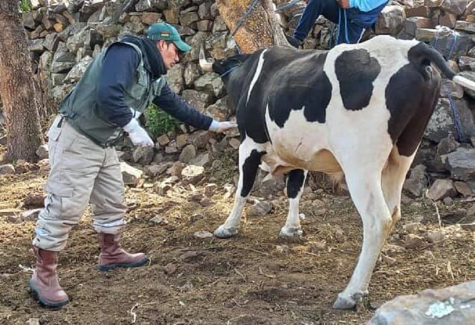 Una anterior campaña del Servicio Nacional de Sanidad Agropecuaria e Inocuidad Alimentaria .