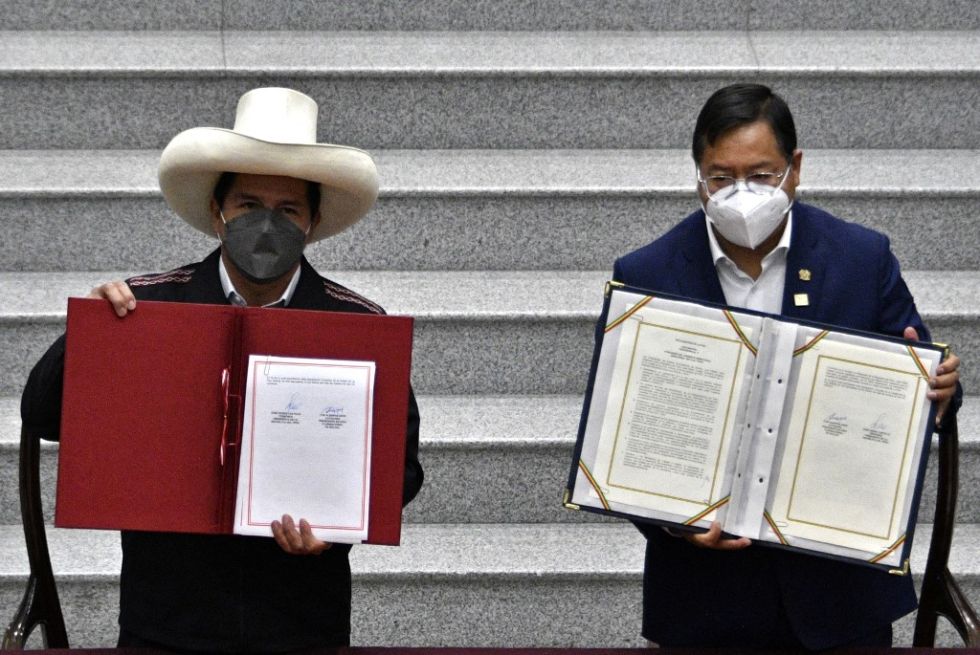 Los presidentes de Perú, Pedro Castillo, y de Bolivia, Luis Arce, tras firmar su declaración conjunta.
