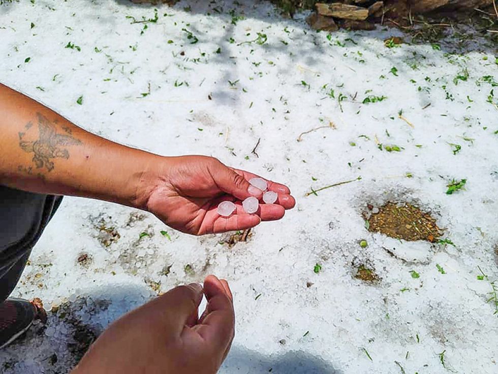 GOLPE. La granizada cayò durante 45 minutos de manera intensa en cuatro comunidades.