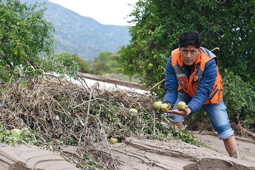 DAÑOS. La crecida de los ríos afectó la producción de papa y maíz, entre otros cutivos agrícolas.