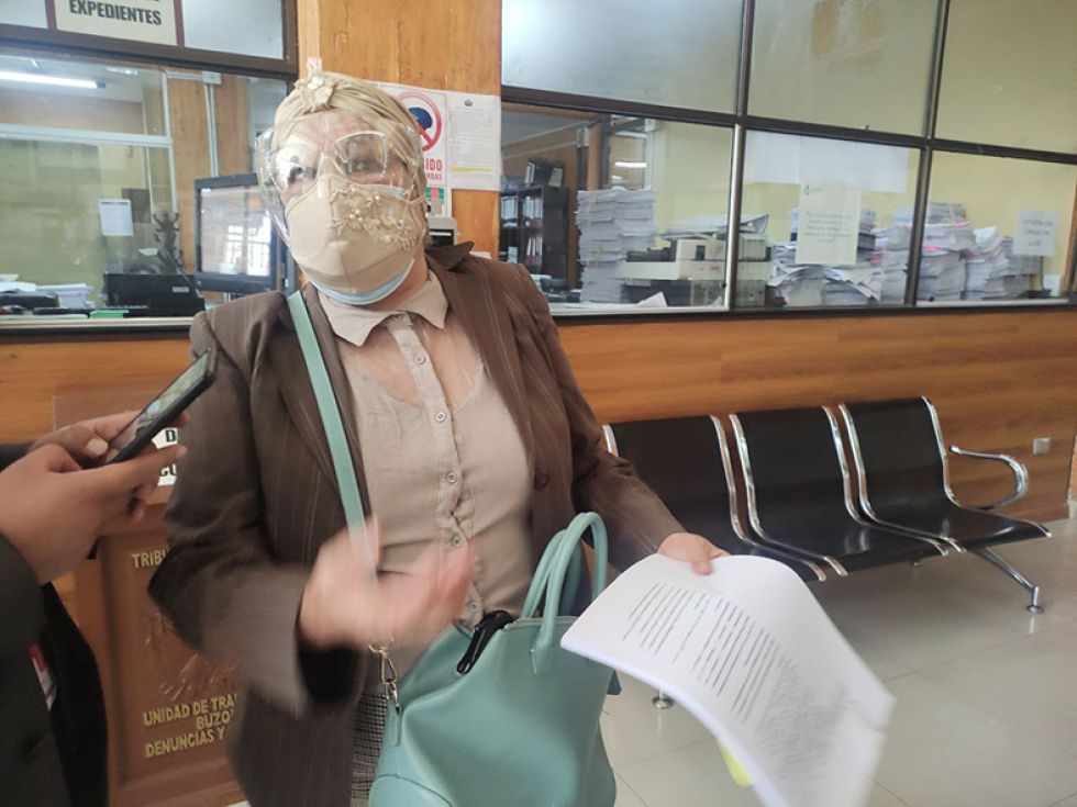 DEMANDAS. La senadora Silvia Salame, ayer cuando presentaba dos acciones en el TCP.