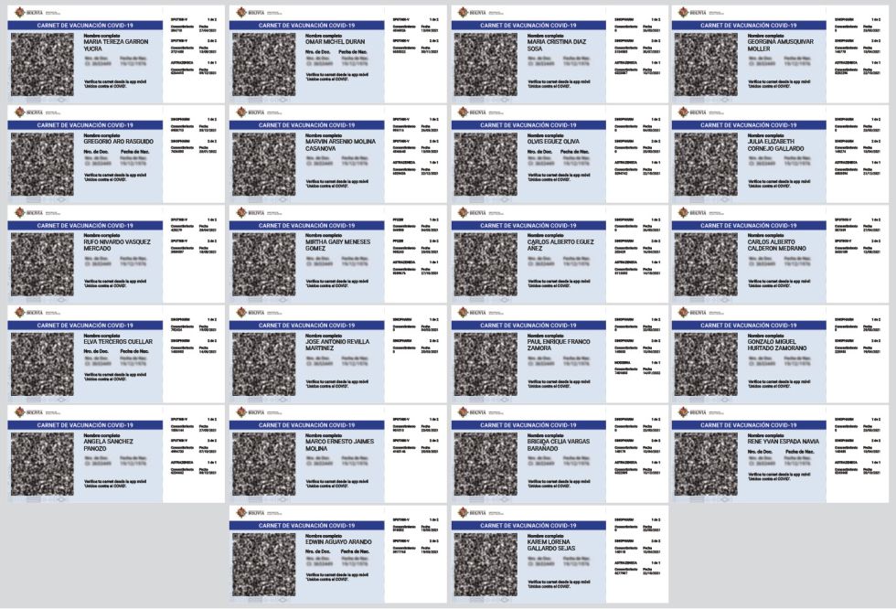 CARNETS. Las autoridades del sistema judicial que se vacunaron tienen su certificado en red, disponible para su impresión, como muestra este cuadro con las 22 imágenes.