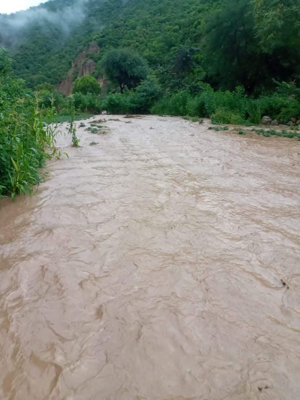 Familias de la comunidad El Dorado, de El Villar, quedaron afectadas por la crecida del río. GENTILEZA RADIO CENTRO PADILLA
