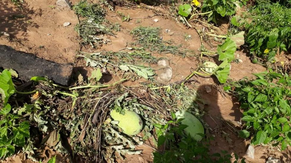 Familias de la comunidad El Dorado, de El Villar, quedaron afectadas por la crecida del río. GENTILEZA RADIO CENTRO PADILLA