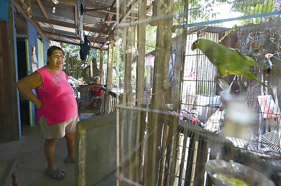 ESPERANZA. Los costarricenses esperan la reactivación de su economía, luego de dos años difíciles por la pandemia del covid-19.