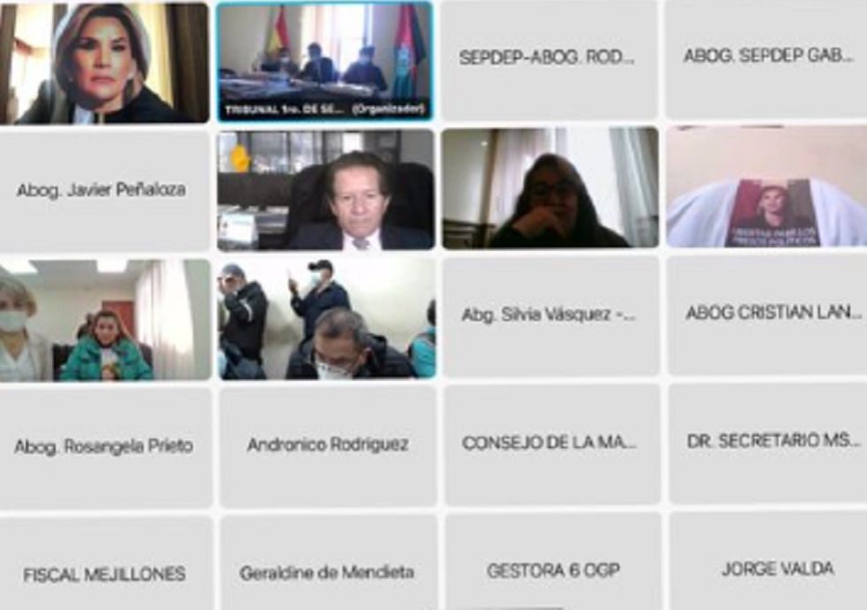 Una captura de pantalla de la audiencia virtual difundida por Carolina Ribera .
