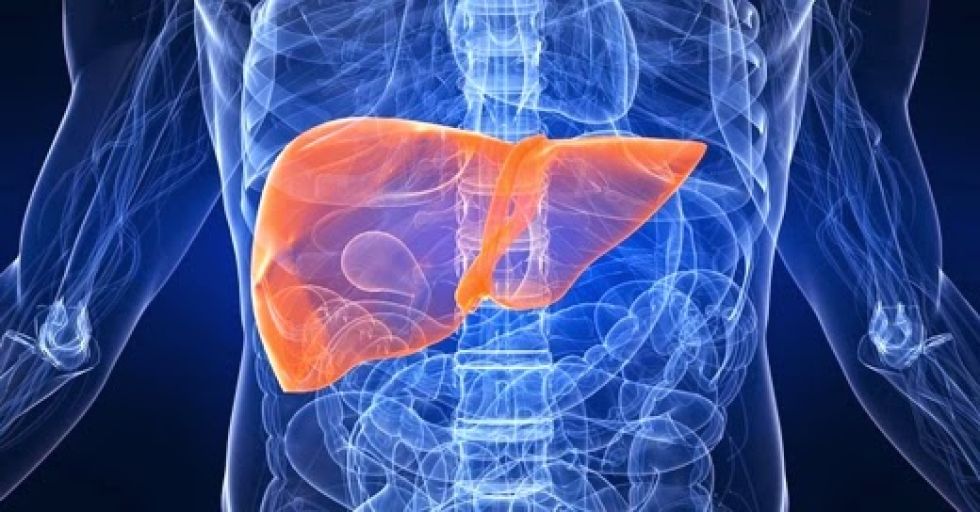 Argentina detectó un caso de Hepatitis de origen desconocido (imagen ilustrativa). 
