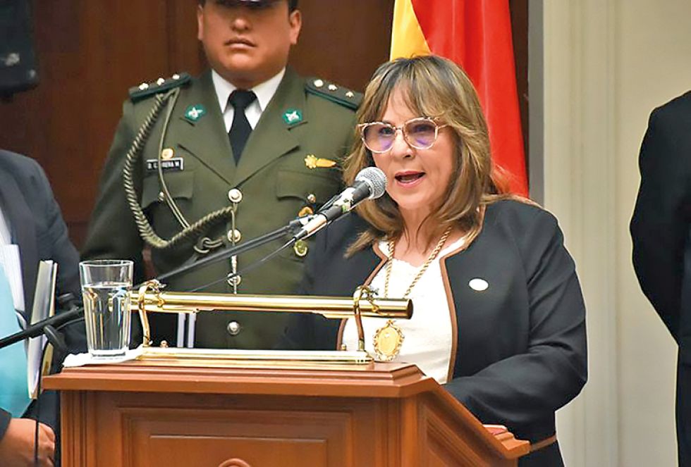 DEMANDANTE. La magistrada del TSJ, María Cristina Díaz, que reclama la decanatura.