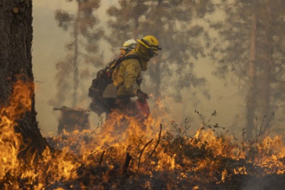 Un bombero enciende un fuego contraproducente mientras lucha contra el incendio de Oak cerca de Mariposa, California.