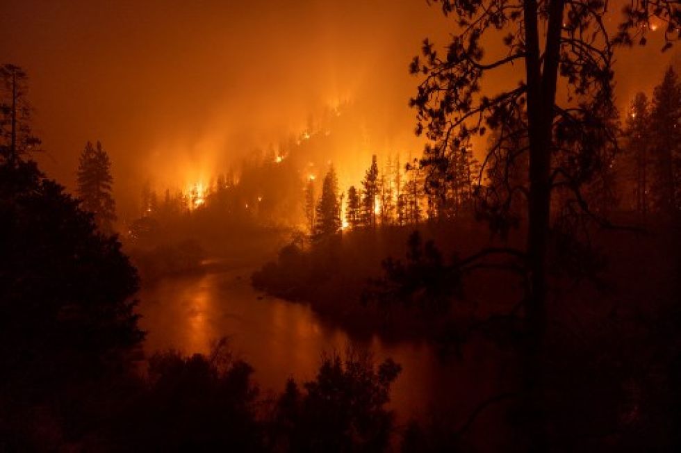 Las sucesivas olas de calor en varios lugares del mundo son también la causa permanente de incontenibles incendios forestales.