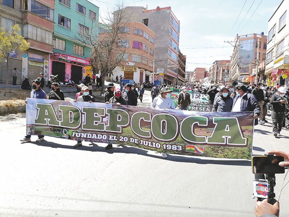 CONFLICTO. Los cocaleros de Adepcoca en La Paz llevan tres semanas sin poder encontrar una solución.