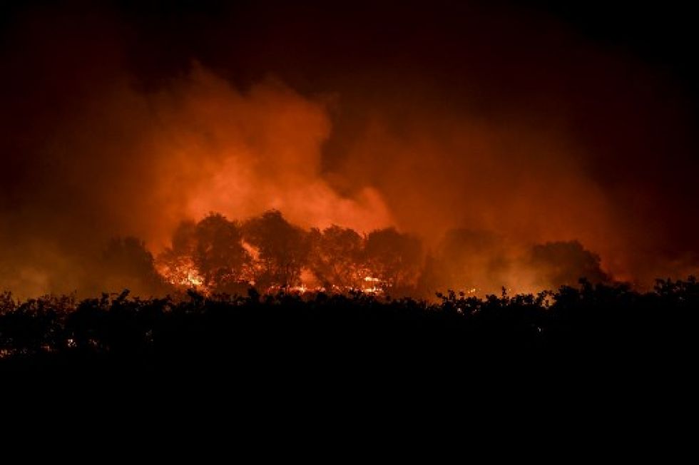 El aumento de los incendios forestales en todo le mundo es atribuido a un cambio drástico en el comportamiento del clima.
