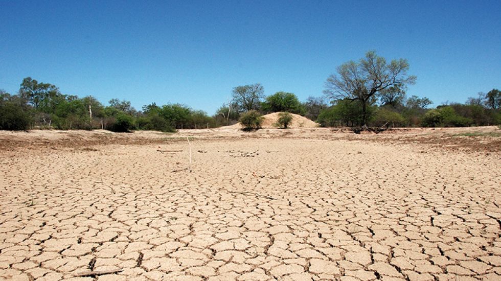 ALARMA. La falta de lluvias en los municipios de Macharetí y Huacareta se siente desde febrero y por eso la situacion es crítica hoy.