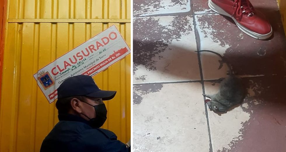 La Alcaldía clausuró un local de comida después de encontrar una rata viva.