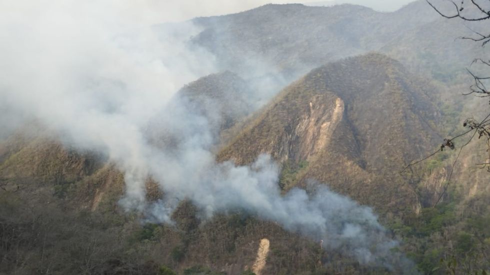 Chuquisaca: El Fuego Golpea Al Parque Nacional Iñao En Incendio ...