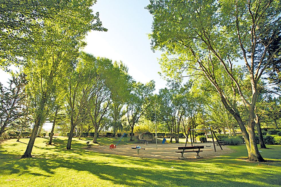 ARBORIZACIÓN. La Carrera Pedestre recaudará fondos para contar con más áreas verdes.