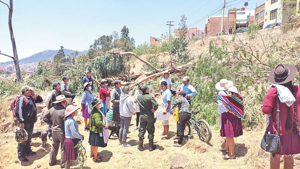 DENUNCIA. Vecinos del barrio 15 de Noviembre, preocupados por el corte de árboles.