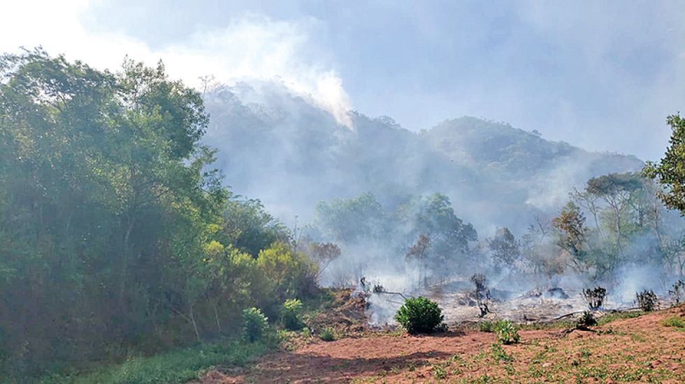 PREOCUPA. Los incendios causan daños a la flora y fauna además de las fuentes de agua.