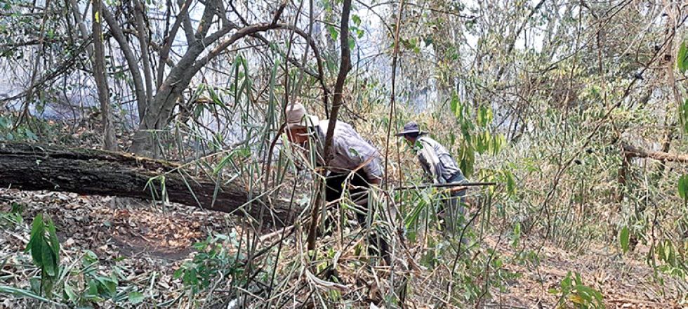 PRÁCTICA. Agricultores y ganaderos tienen la costumbre de chaquear y quemar pastizales.