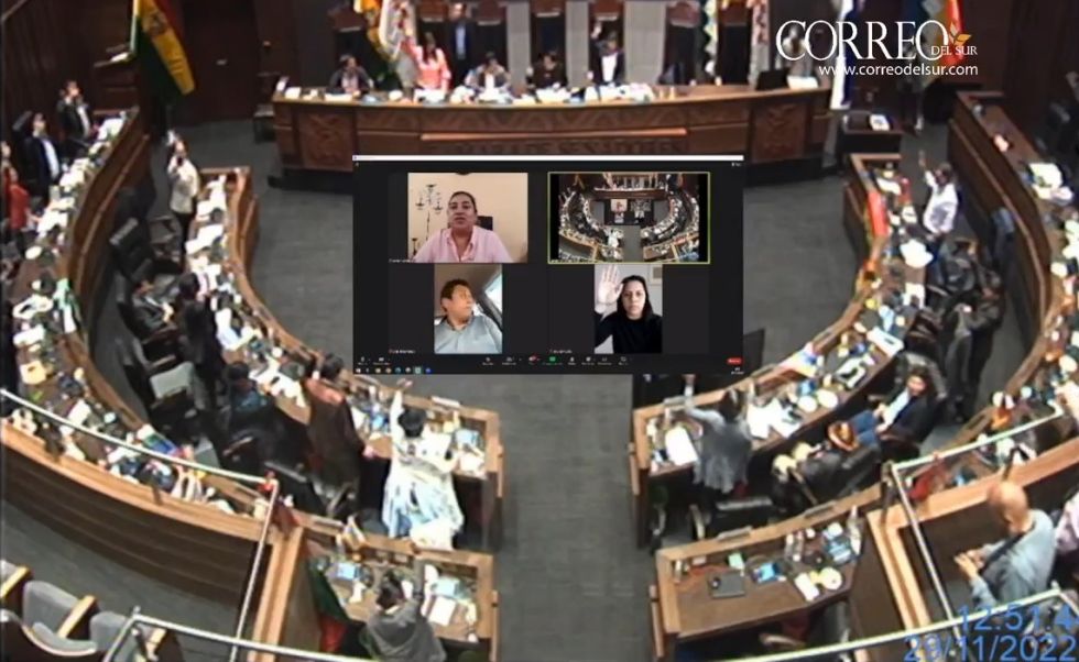 Votación de los senadores en el tratamiento del proyecto en su estación en grande.