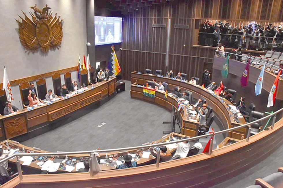 DISCREPANCIAS. Tras casi siete horas de debate, los legisladores aprobaron la norma en el Senado.