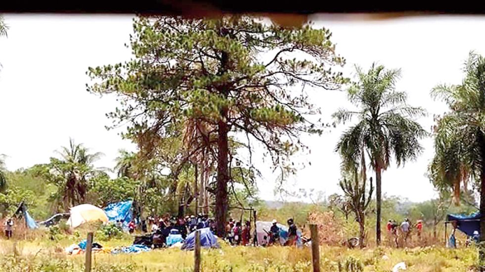 PREOCUPA. Los avasallamientos de tierras se hacen en predios privados, apelando a la violencia.