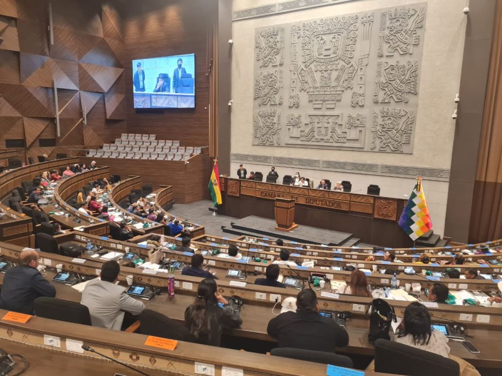La Cámara de Diputados ya no obligará a sus funcionarios a asistir a los actos del Estado Plurinacional