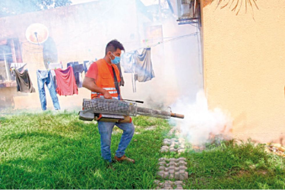 CAMPAÑA. La segunda jornada de la minga de limpieza contra el dengue en la capital oriental.