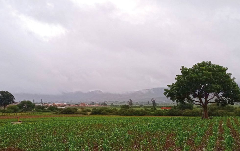 PRECIPITACIONES. Desde el centro poblado de Padilla informaron que las lluvias cayeron desde las 5:00 y se extendieron durante casi toda la jornada.