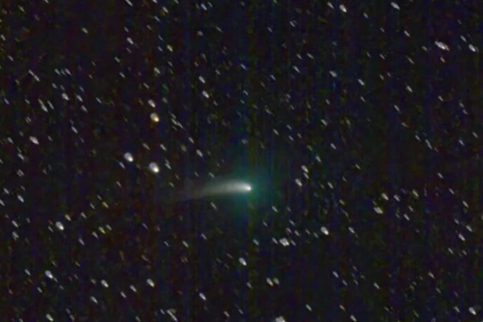 Imágen tomada por la NASA del “cometa verde” a principios de enero en el hemisferio norte.