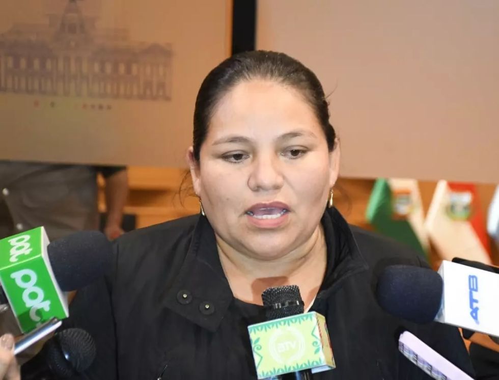 DIVISIÓN. Daysi Choque, la parlamentaria oficialista que planteó el recurso ante el TCP.