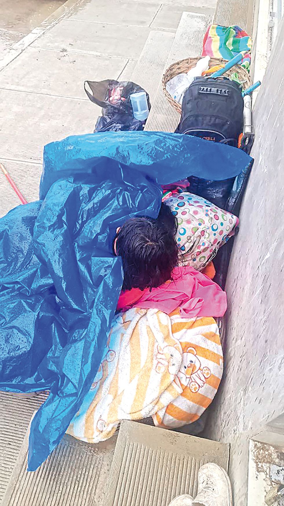 DOLOR. Una vecina captó esta imagen y la envió a este diario para que se actuara en el acto.