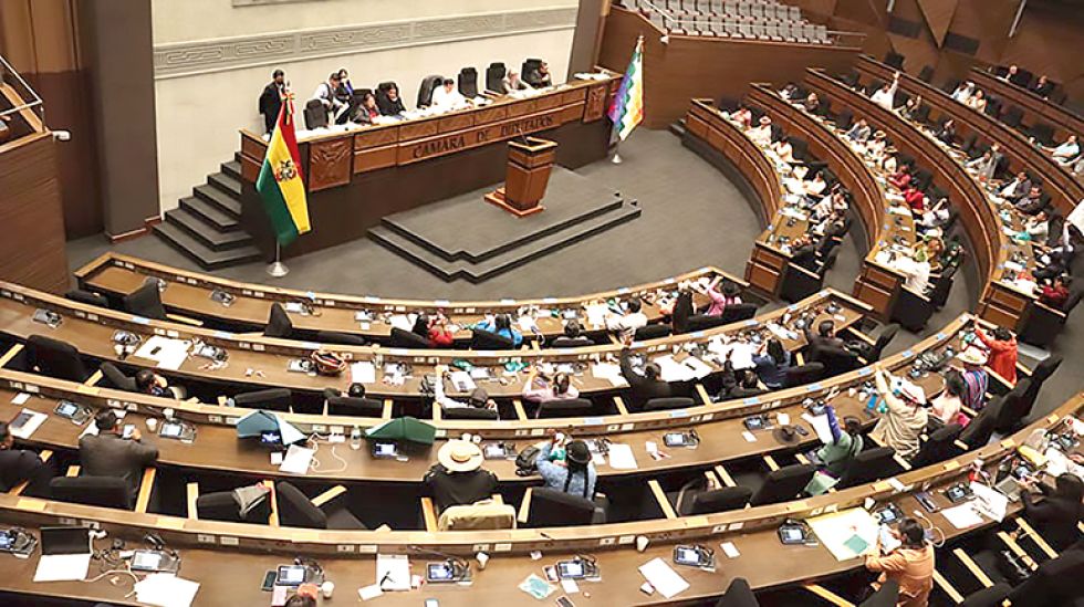 LEGISLATIVO. Una imagen de la Cámara de Diputados, donde se tratará el proyecto de ley.