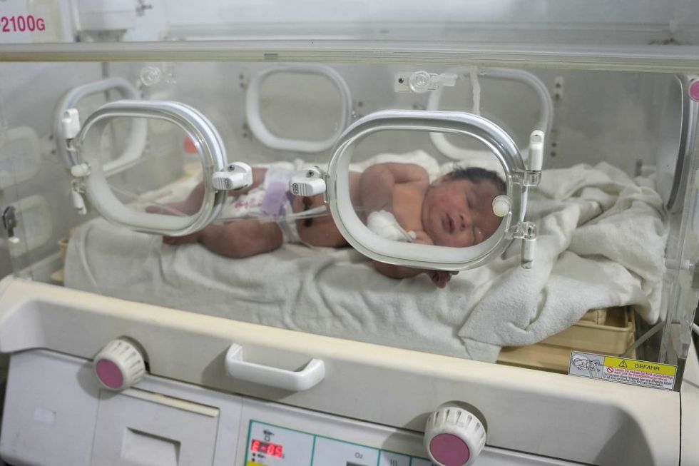 Rescatan auna recién nacida que todavía tenía el cordón umbilical entre los escombros de Siria