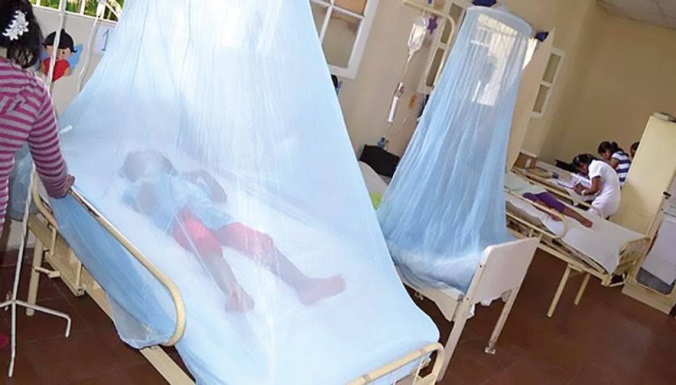 EMERGENCIA. Hospitales de Santa Cruz de la Sierra tienen más atenciones por síntomas de dengue.