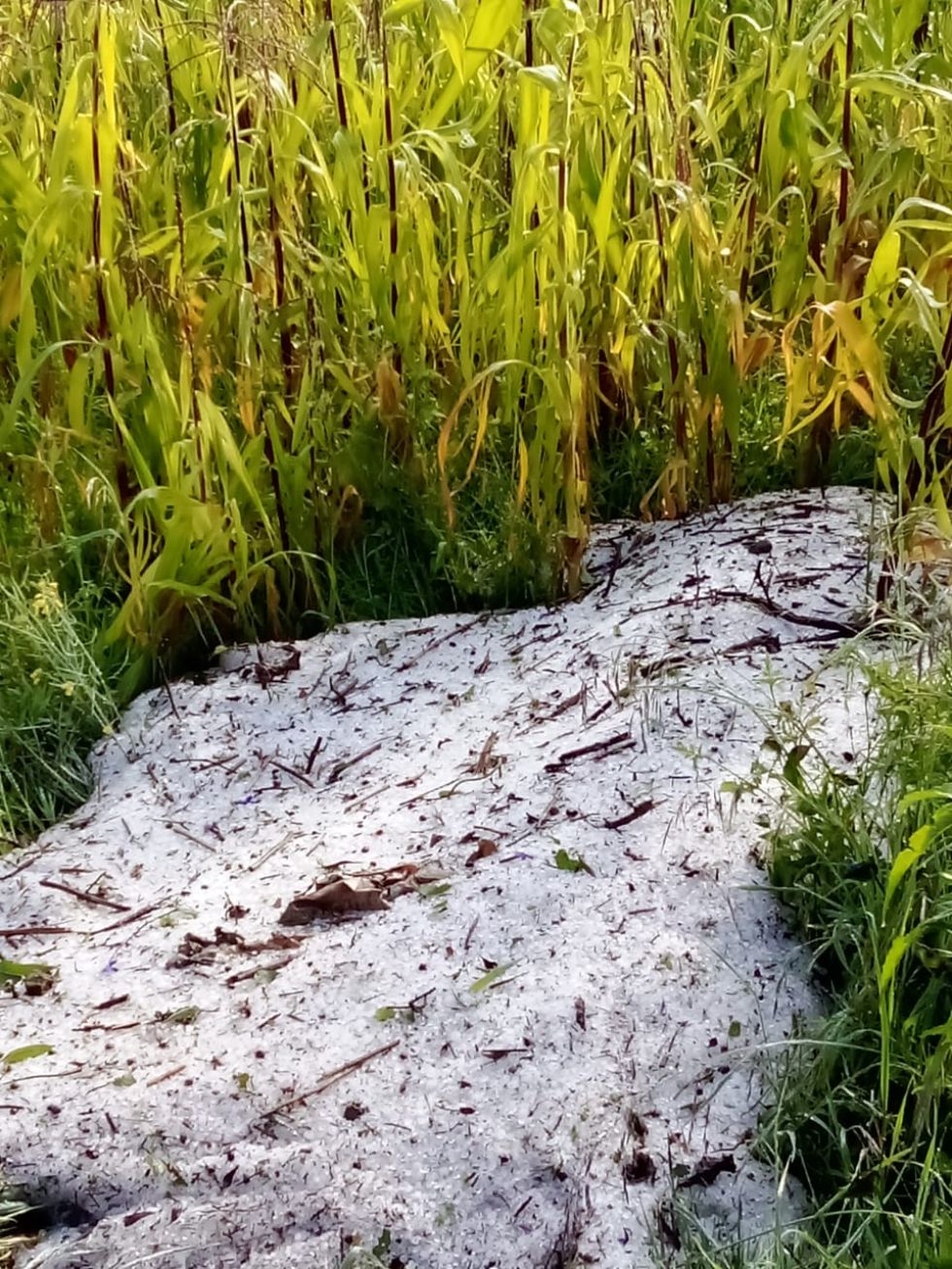 La granizada se registró el pasado jueves en la comunidad Pilalo.